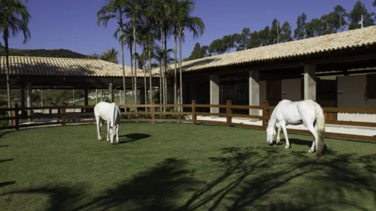 Imagem Condomínio rural com lazer completo perto de BH