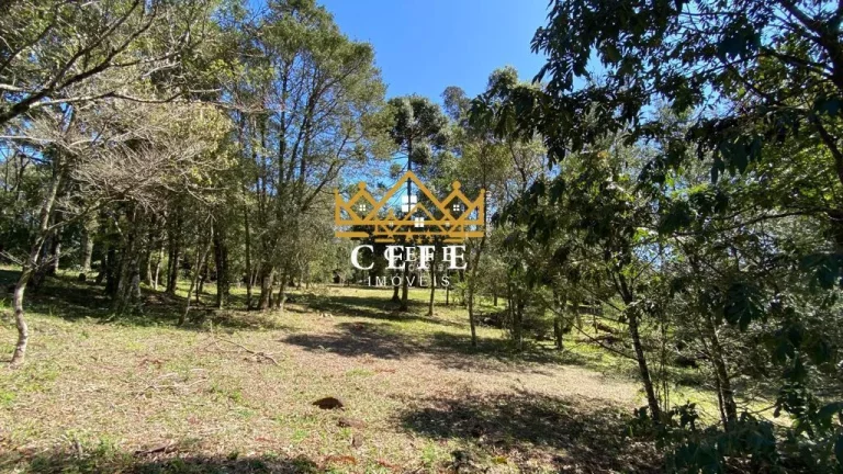 Imagem Chácara - Sítio com 4 Dormitorio(s) localizado(a) no bairro Mato Comprido em Morro Reuter / RIO GRANDE DO SUL Ref.:1404