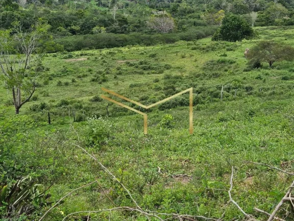 Imagem Sítio ideal para quem quer investir ou desfrutar de um lugar em contato com a natureza!
