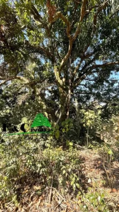 Imagem Área para Venda em Limeira, Área Rural de Limeira