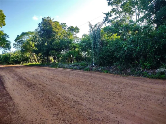 Imagem Terreno à venda em Lagoa do Aruá, para incorporação, Mata de São João - Loteamento Quinta do Castelo da Torre