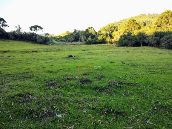 Imagem CHACARA RURAL em CAMPO BELO DO SUL - SC, Interior