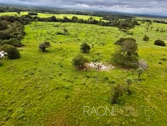 Imagem Fazenda à Venda, 7.930.000 m² em Zona Rural - Filadélfia