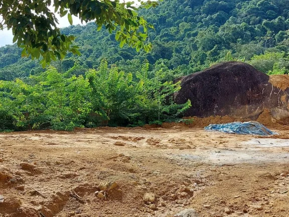 Imagem Área para Venda em Ubatuba / SP no bairro Ubatumirim