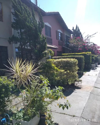 Imagem Linda casa Butantã
