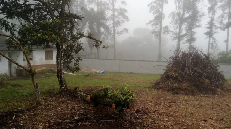 Imagem Terreno no Jardim Silveira - Marsilac