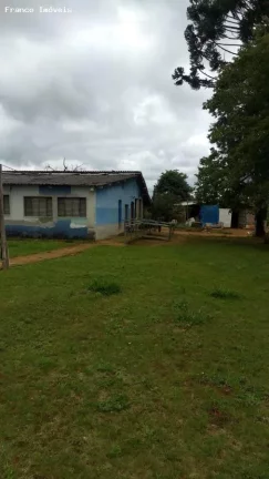 Imagem Sítio para Venda em Suzano, Ipelândia