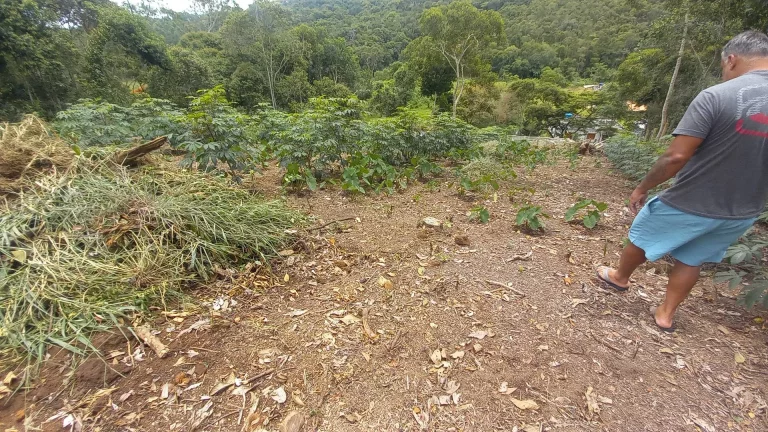 Imagem VENDO ESTE EXCELENTE TERRENO EM NOVA FRIBURGO - BAIRRO: TOLEDO