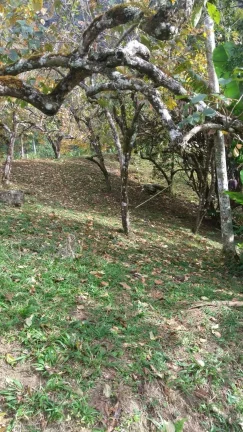 Imagem Vendo esta linda chácara em Nova Friburgo com 15.000m2.