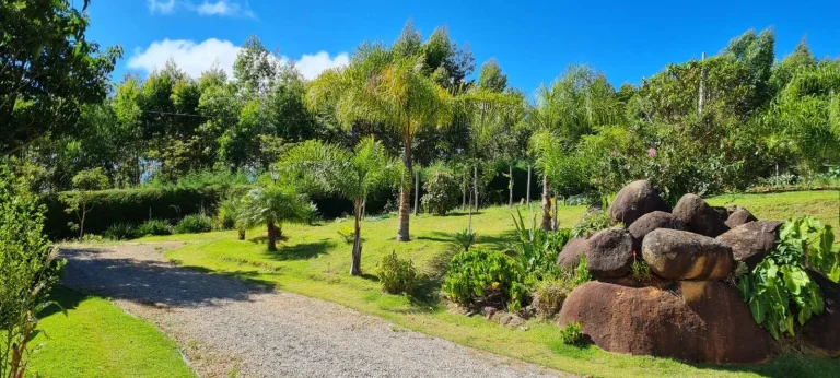 Imagem Lindo sítio em Pedra Bela