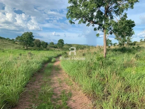 Imagem Fazenda 375 Hectares à venda, para Pecuaria localizada em Municipio de Nossa Senhora da Guia, MT