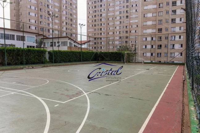 Imagem Apartamento com 3 quartos à venda, 63 m² - Novo Osasco - Osasco/SP
