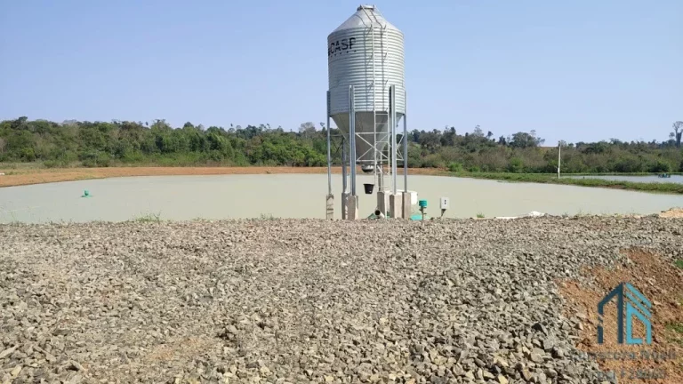 Imagem Sítio Produtivo de 5 alqueires, 7 tanques, em São Miguel do Iguaçu PR