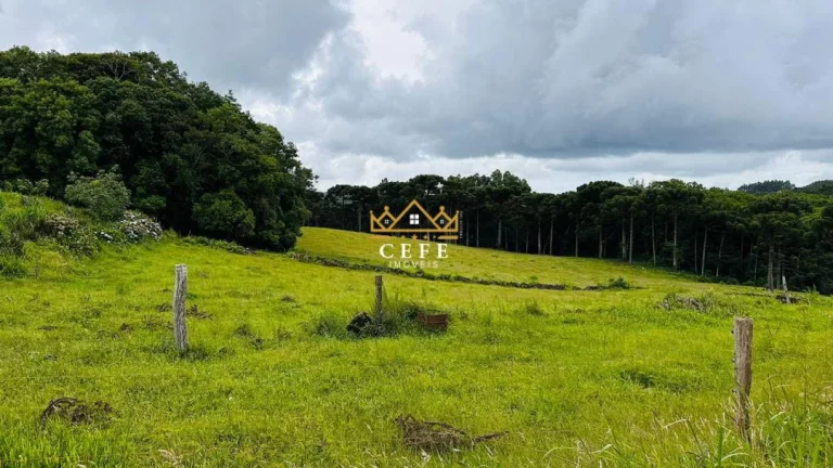 Imagem Chácara - Sítio com 3 Dormitorio(s) localizado(a) no bairro Zona Rural em Santa Maria do Herval / RIO GRANDE DO SUL Ref.:1545