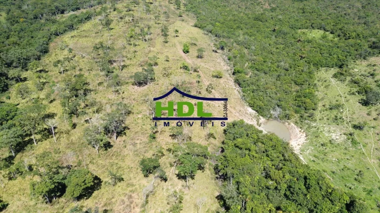 Imagem Fazenda para cria em Silvania/GO