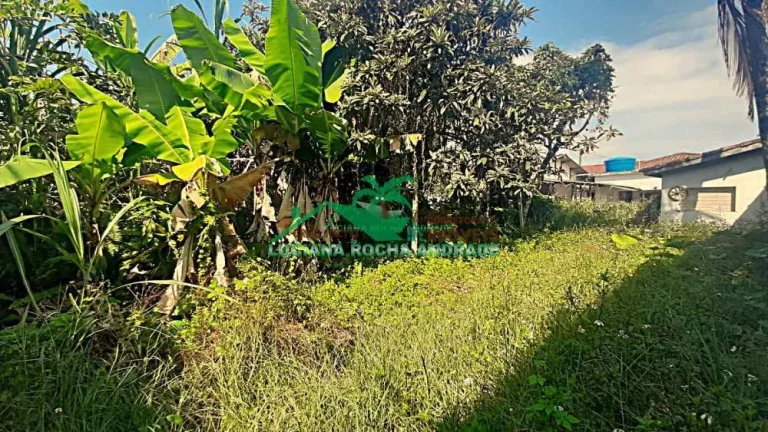 Imagem Terreno Padrão