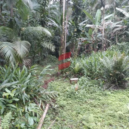 Imagem CHÁCARA com 2 dormitórios à venda com 16000m² por R$ 375.000,00 no bairro Rio do Nunes - ANTONINA / PR