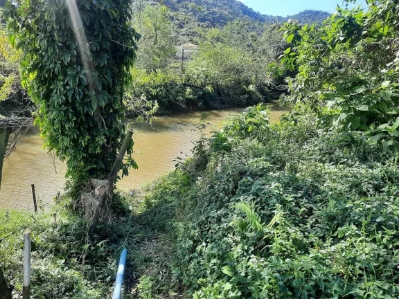Imagem Terreno à Venda, Plano, Nível da Rua, com 11.089 m2. Sul do Rio, Santo Amaro da Imperatriz, SC