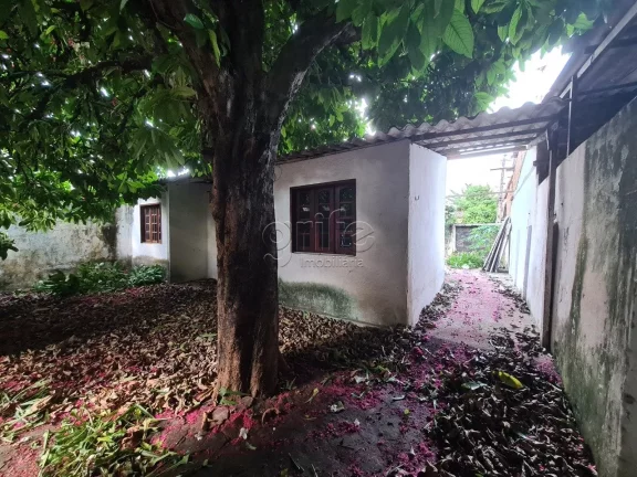 Imagem Excelente terreno no Prefeito José Walter, de frente as Farmácias Extrafarma e Droga Felix na AV. ...