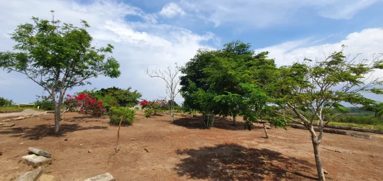 Imagem Terreno para Venda em Sapeaçu, SAPEAÇU