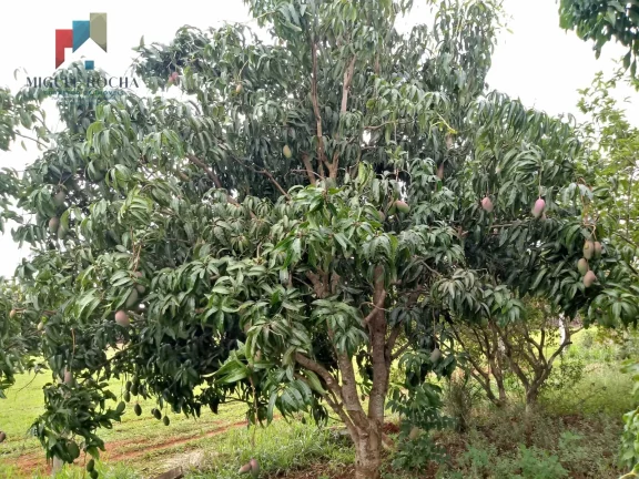 Imagem Terreno à venda no bairro bairro turvo - Tatuí/SP
