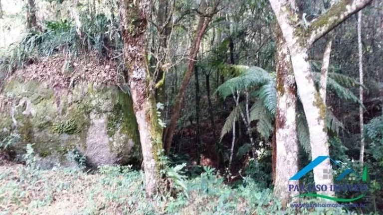 Imagem Paraíso Rural na Serra da Mantiqueira: Rancho com Vista Deslumbrante.