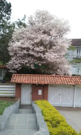 Casa com 3 Quartos à Venda, 230 m² em Granja Viana Ii - Cotia