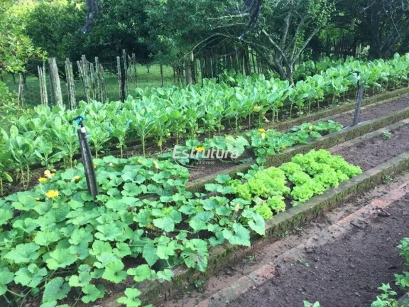 Imagem Sítio maravilhoso com 47 hectares de natureza exuberante!
