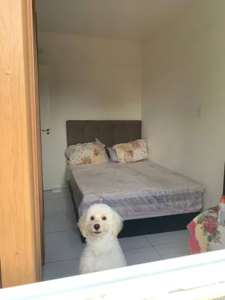 Imagem Morada Universitá - Apartamento Térreo com Área de Lazer e Vaga de Garagem
