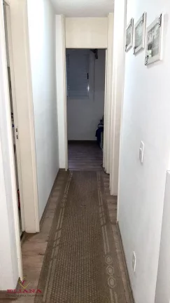 Imagem Apartamento à venda em São Paulo, Jardim Íris, com 3 quartos, 64m²