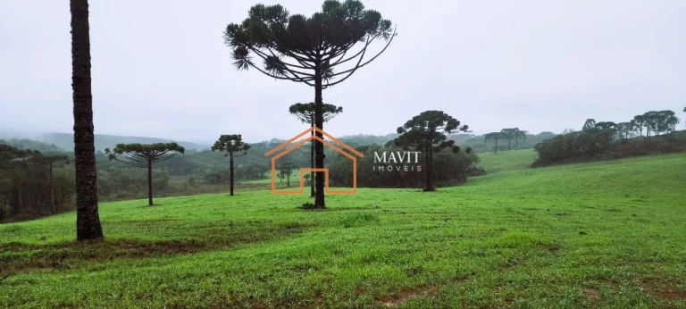 Imagem FAZENDA RURAL em CERRO NEGRO - SC, Interior