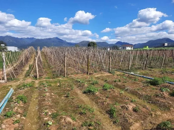 Imagem Terreno à Venda, Plano, Nível da Rua, com 11.089 m2. Sul do Rio, Santo Amaro da Imperatriz, SC