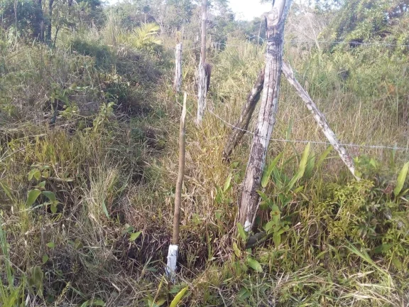 Imagem Terreno para Venda em Itanhaém, Aguapeú