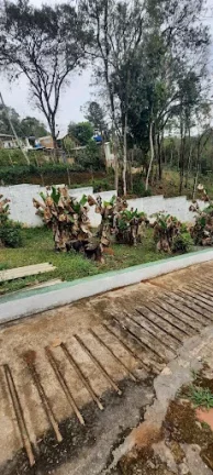 Imagem Chácara com 2 dormitórios à venda, 2800 m² por R$ 850.000,00 - Invernada - Mairiporã/SP