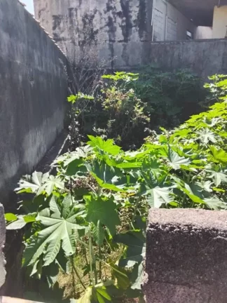 Imagem Terreno à venda, 378 m² por R$ 250.000,00 - Vila Áurea - Poá/SP