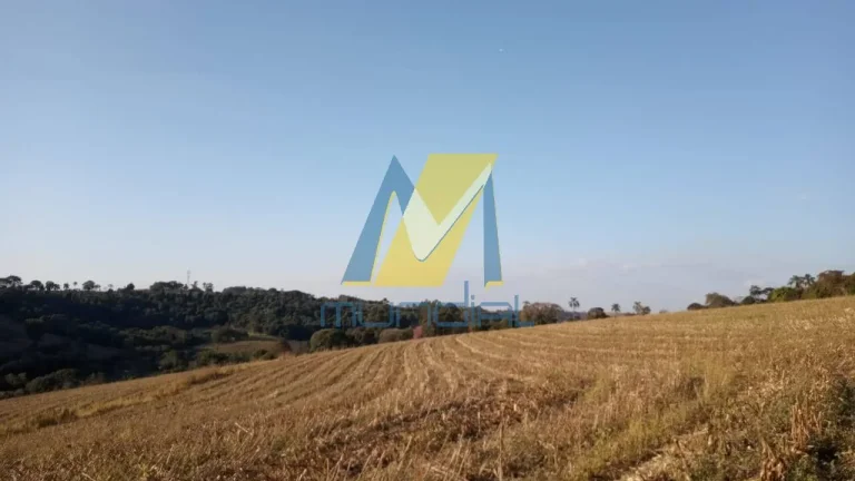 Imagem Investidores e compradores que buscam valorização e expansão patrimonial