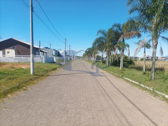 Imagem Onde a Cidade Encontra a Natureza: Morada das Palmeiras em Torres