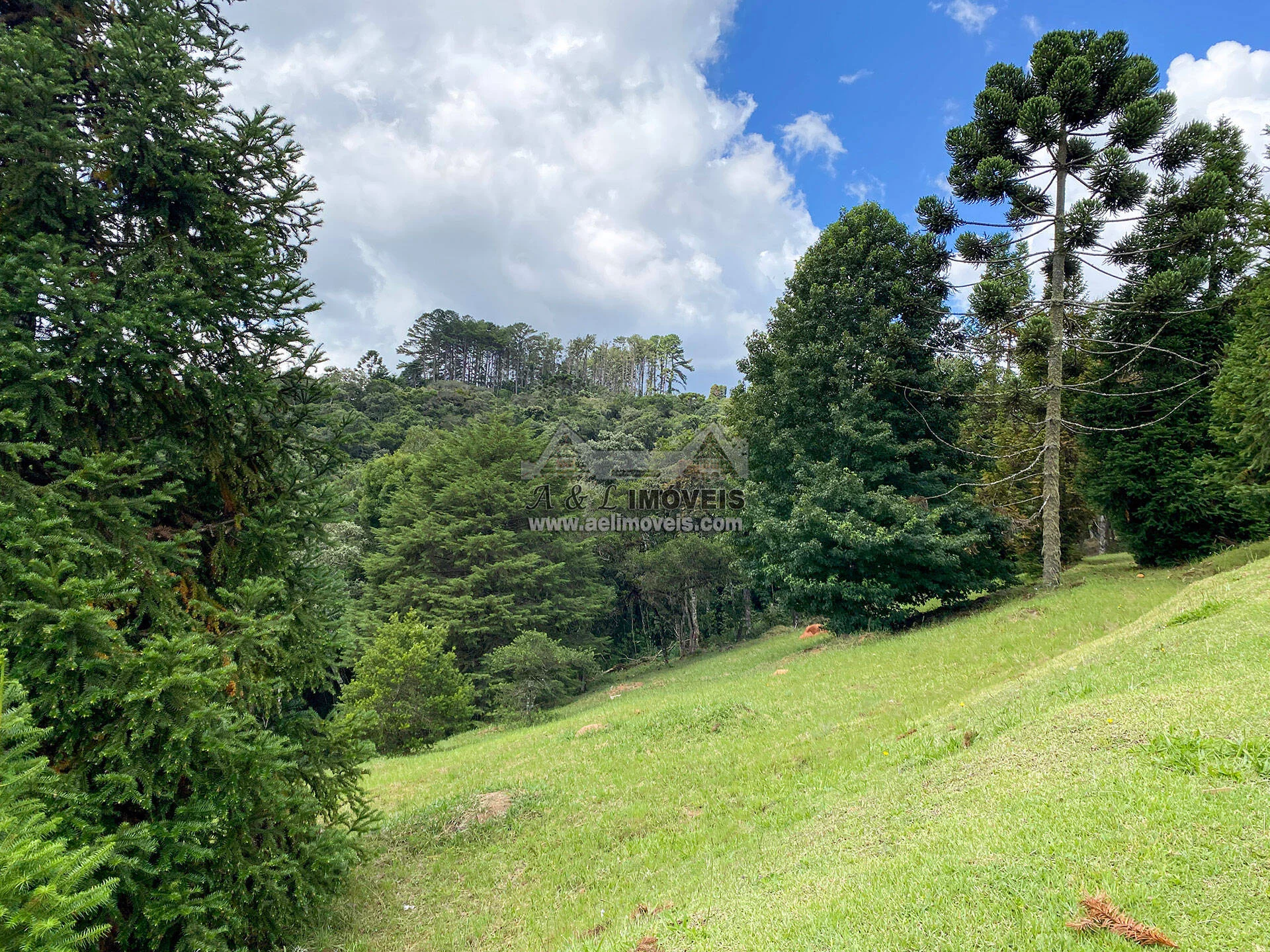 Imagem Terreno à venda em Campos do Jordão – Em loteamento de alto padrão