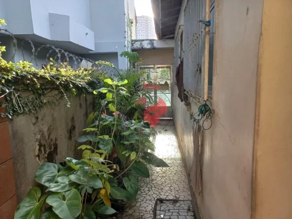 Imagem Terreno à Venda em São Bernardo do Campo em uma Ótima Localização no Bairro Baeta Neves