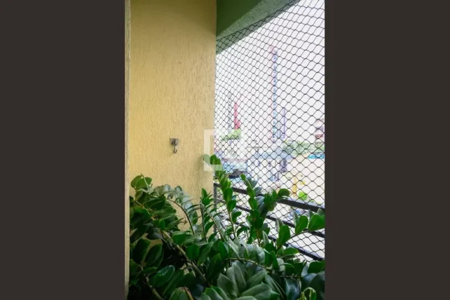 Imagem Apartamento à Venda - Aclimação, 3 Quartos, 67 m2