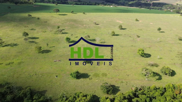 Imagem Fazenda de 1ª com 155 Hectares prox. à Goiânia.
