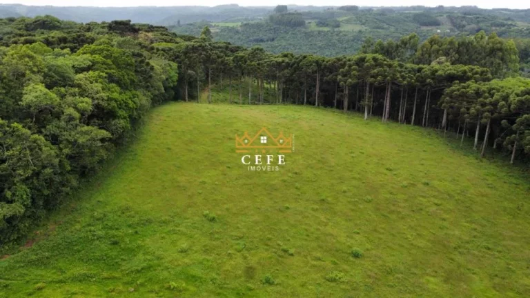 Imagem Chácara - Sítio com 3 Dormitorio(s) localizado(a) no bairro Zona Rural em Santa Maria do Herval / RIO GRANDE DO SUL Ref.:1545