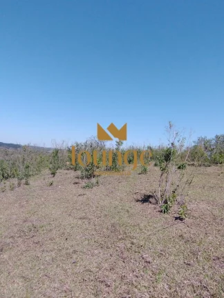 Imagem Terreno à venda bairro Vila Zanin Zona Sul - Conchas/SP