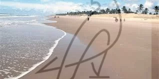 Imagem Lotes para venda Sítio do Conde, Conde-BA