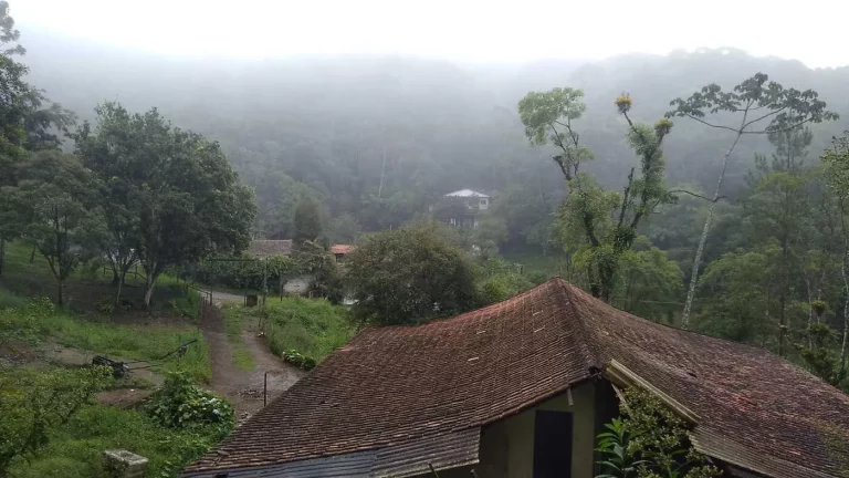 Imagem Chácara para Venda em Ribeirão Pires, Somma, 4 dormitórios, 1 banheiro, 10 vagas