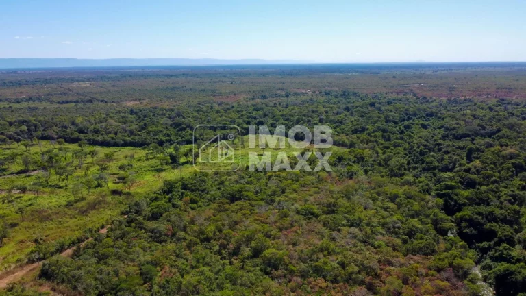 Imagem Fazenda a venda em Formosa: 281 hectares, água perene, dupla aptidão - escriturada e registrada.