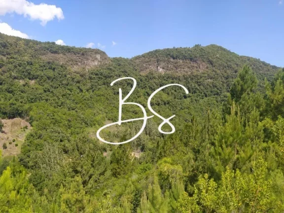 Imagem SITIO RURAL em Santa Lúcia do Piai - RS, Linha Brasil