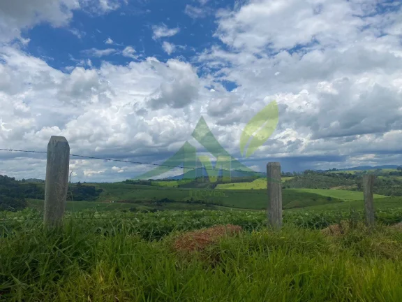 Imagem Fazenda de 75 Alqueires às Margens da Rodovia Fernão Dias Bragança Paulista