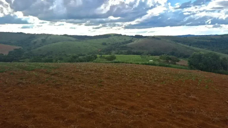 Imagem Sítio Encantador com Pomar, Solo Fértil e Construção Rústica em Antônio Carlo