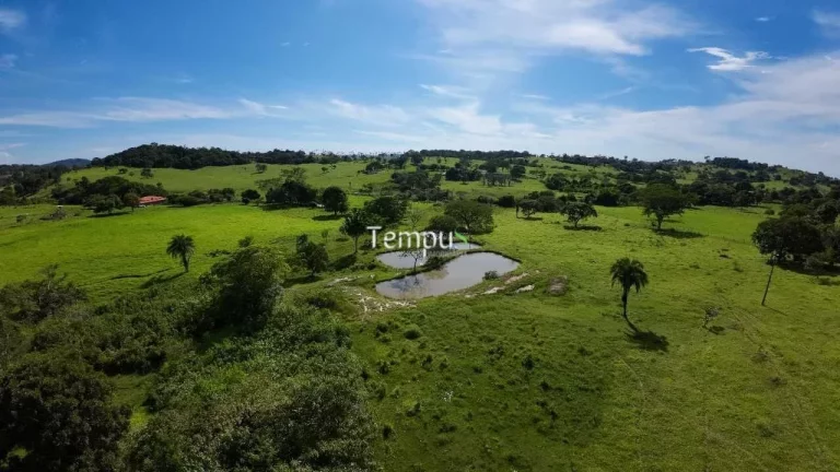 Imagem Fazenda 3 alqueires em Anicuns - Excelente para plantio